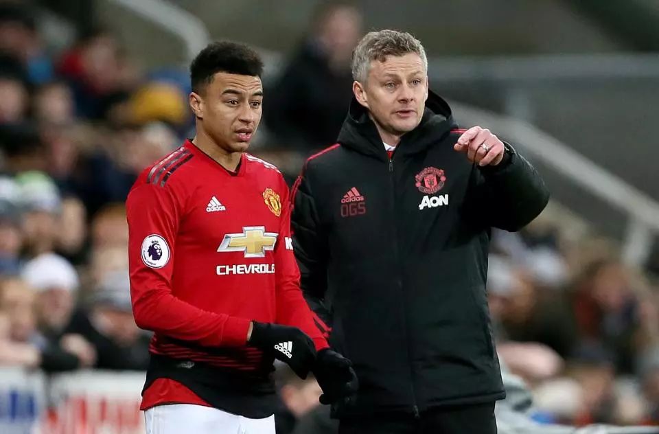 如果你提供 如果你提供